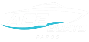 logo white paros